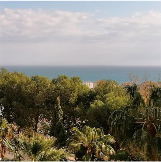 Coqueto Estudio Con Vistas A 800 De La Playa Apartment Benalmadena