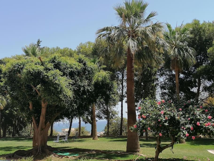 Apartamento Coqueto Estudio Con Vistas A 800 De La Playa Benalmádena